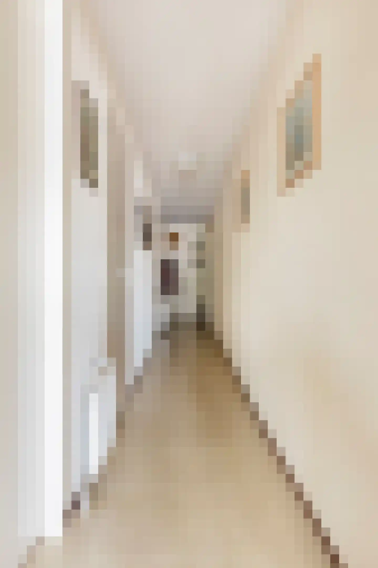 Boomstraat 124 d Tilburg thumbnail 26