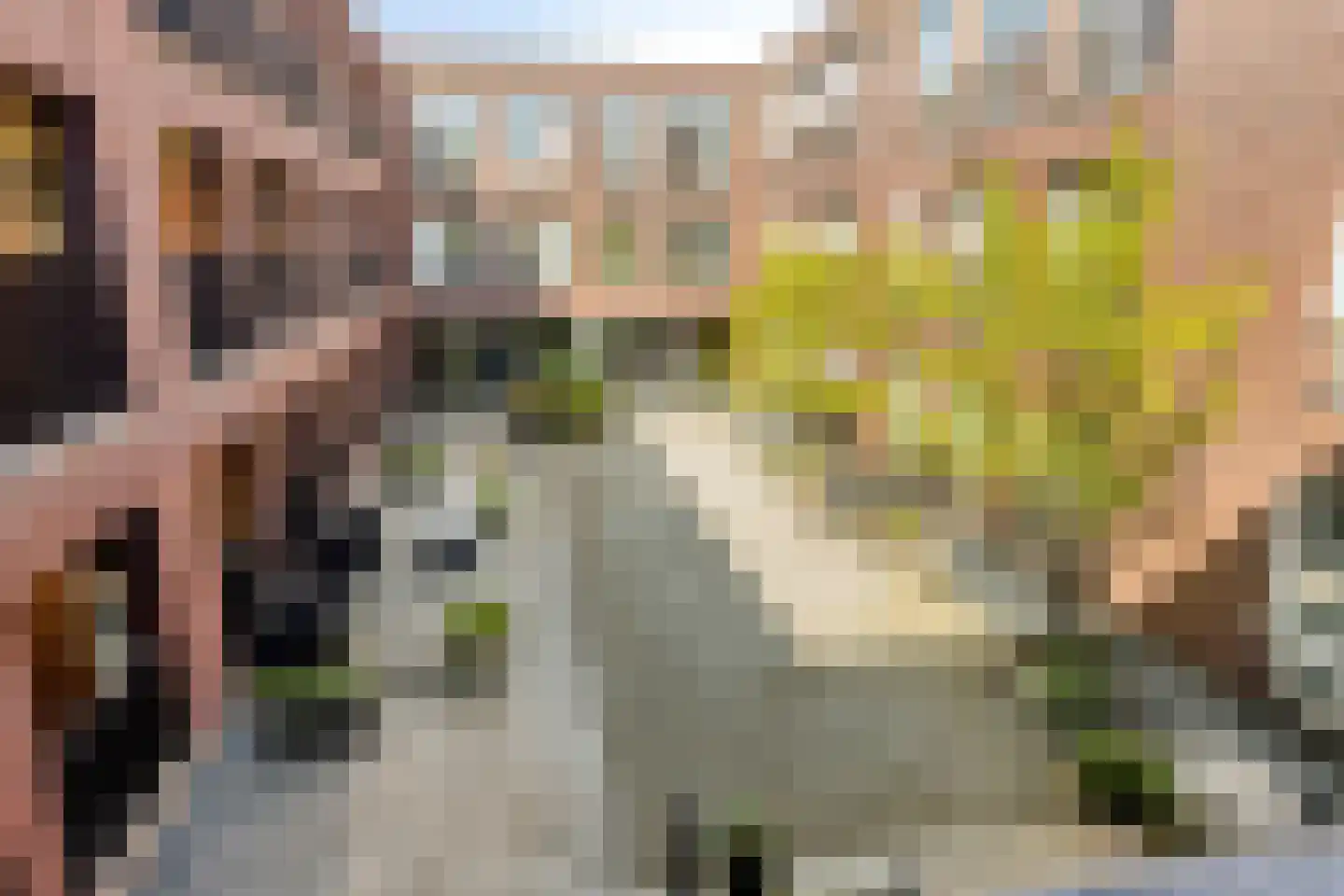 Boomstraat 124 d Tilburg thumbnail 38