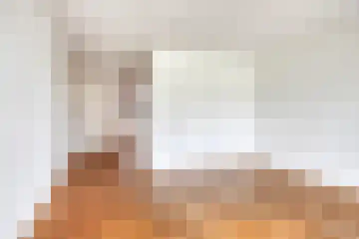 Boomstraat 124 Tilburg thumbnail 13