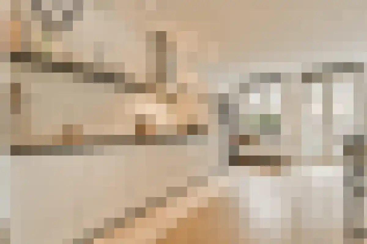 Boomstraat 13 Amsterdam thumbnail 4