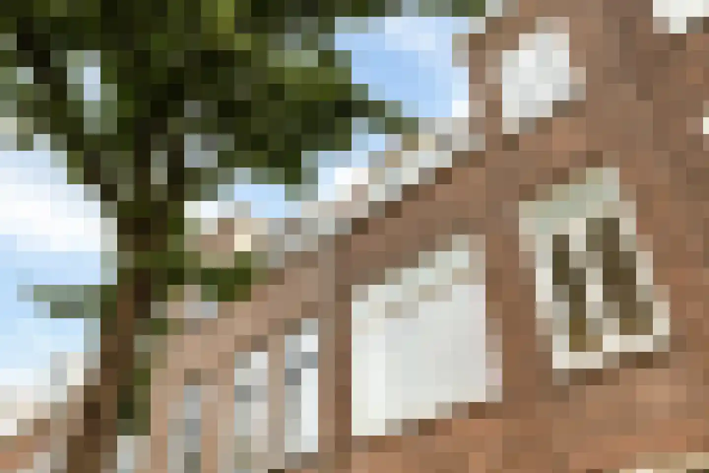 Boomstraat 16 BS Utrecht thumbnail 16