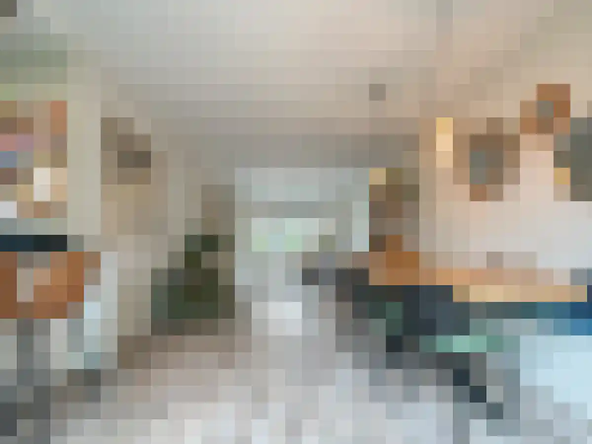 Boomstraat 19 Utrecht thumbnail 5