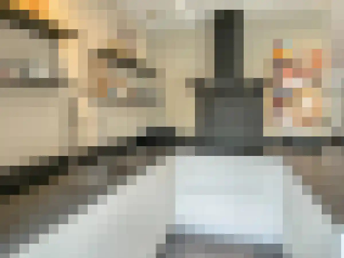 Boomstraat 19 Utrecht thumbnail 6