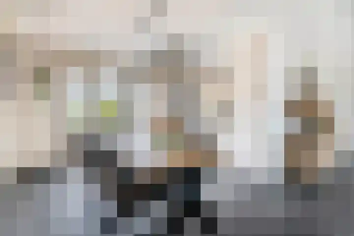Boomstraat 22 Veghel thumbnail 10