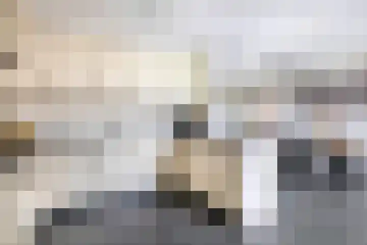 Boomstraat 22 Veghel thumbnail 12