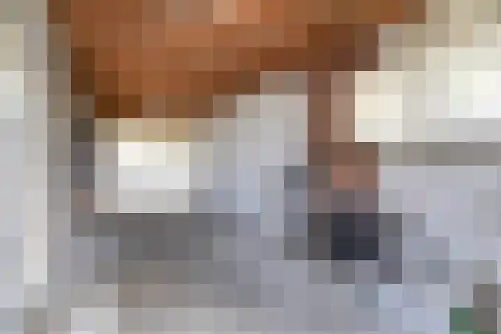 Boomstraat 22 Veghel thumbnail 29