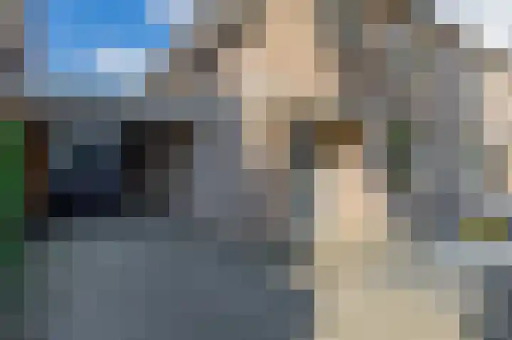 Boomstraat 22 Veghel thumbnail 36