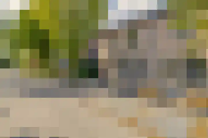 Boomstraat 22 Veghel thumbnail 40
