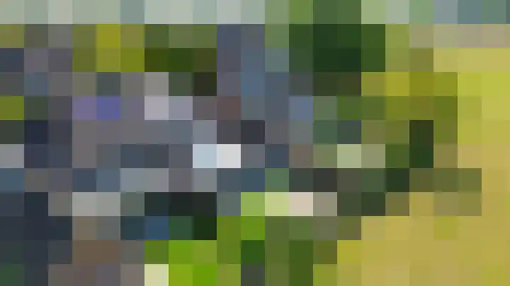 Boomstraat 22 Veghel thumbnail 42