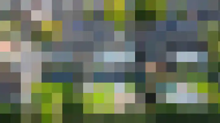 Boomstraat 22 Veghel thumbnail 44