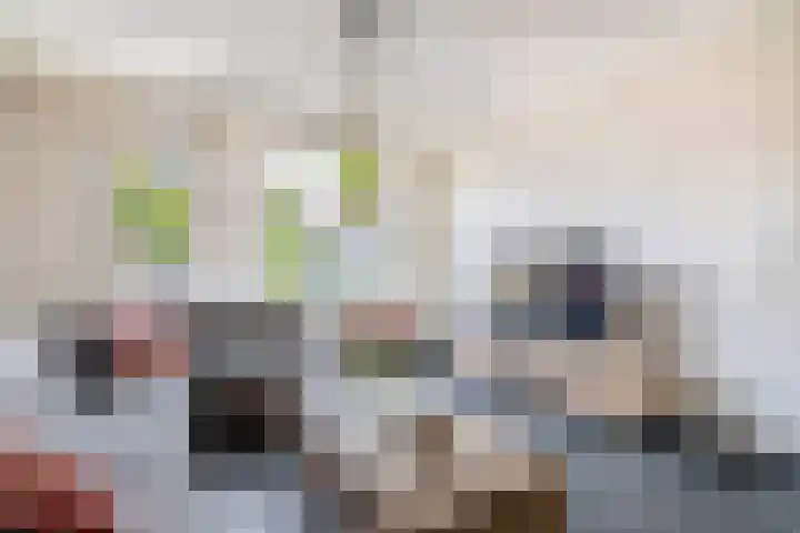 Boomstraat 22 Veghel thumbnail 6