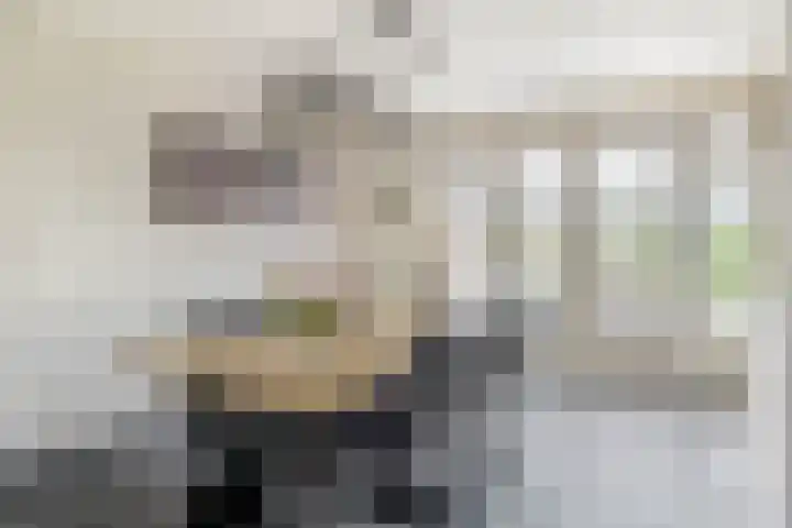 Boomstraat 22 Veghel thumbnail 8