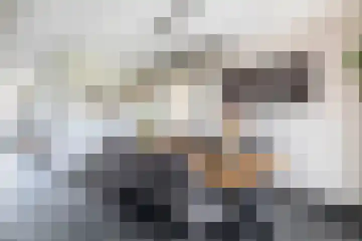 Boomstraat 22 Veghel thumbnail 9