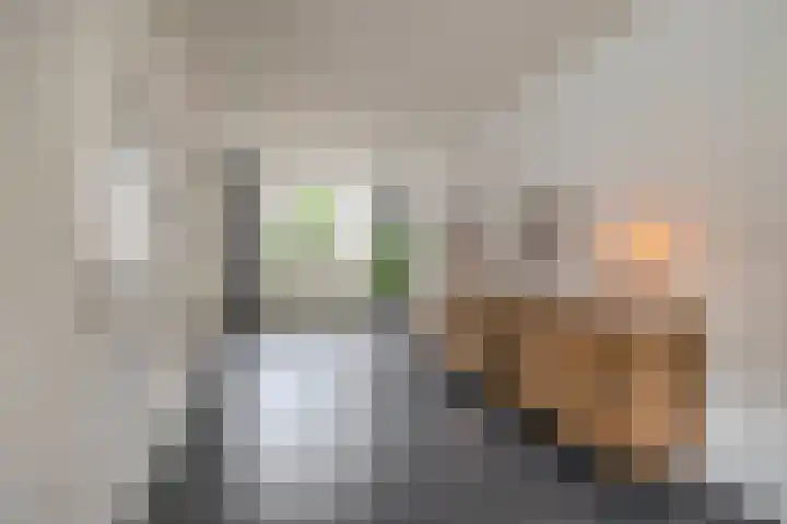 Boomstraat 24 Schijndel thumbnail 10