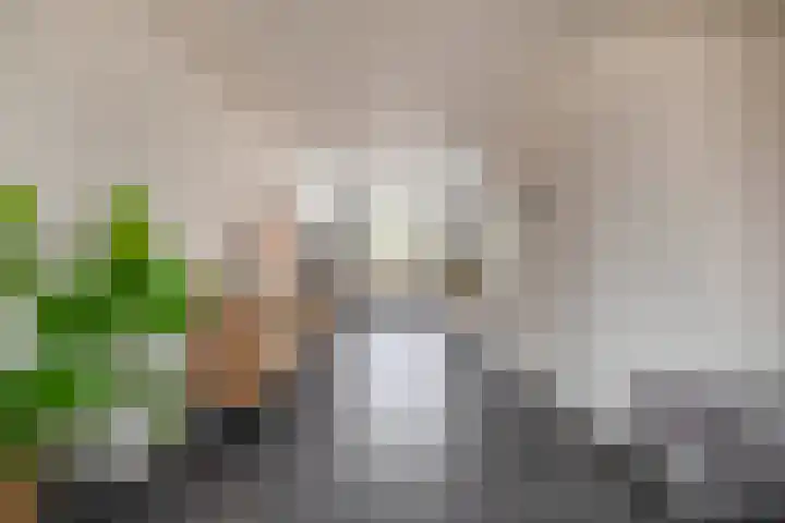 Boomstraat 24 Schijndel thumbnail 11