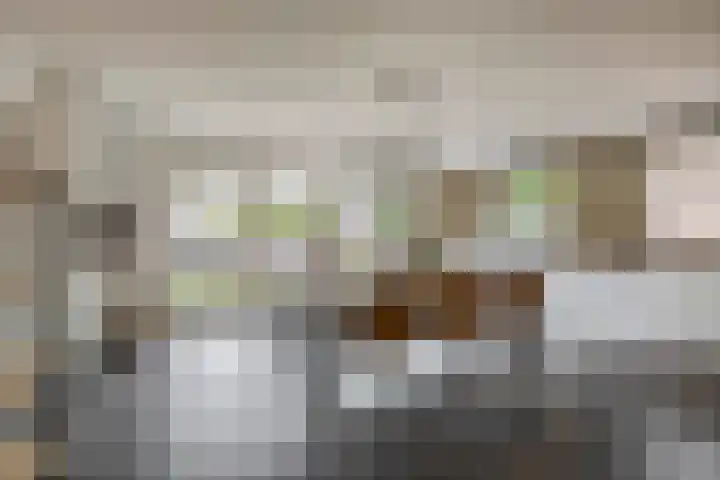 Boomstraat 24 Schijndel thumbnail 15