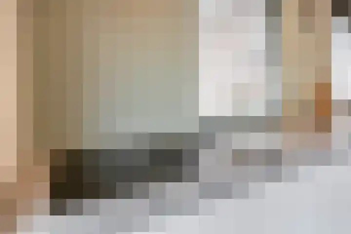 Boomstraat 24 Schijndel thumbnail 20