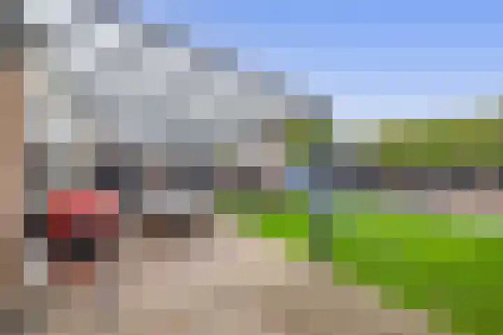 Boomstraat 24 Schijndel thumbnail 35