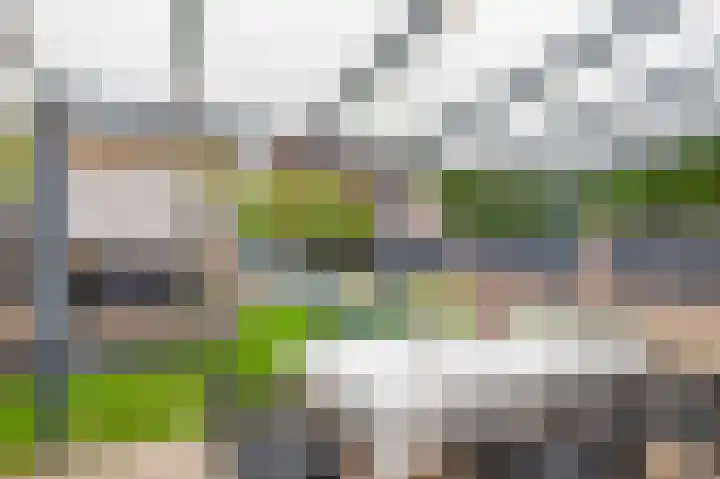 Boomstraat 24 Schijndel thumbnail 38