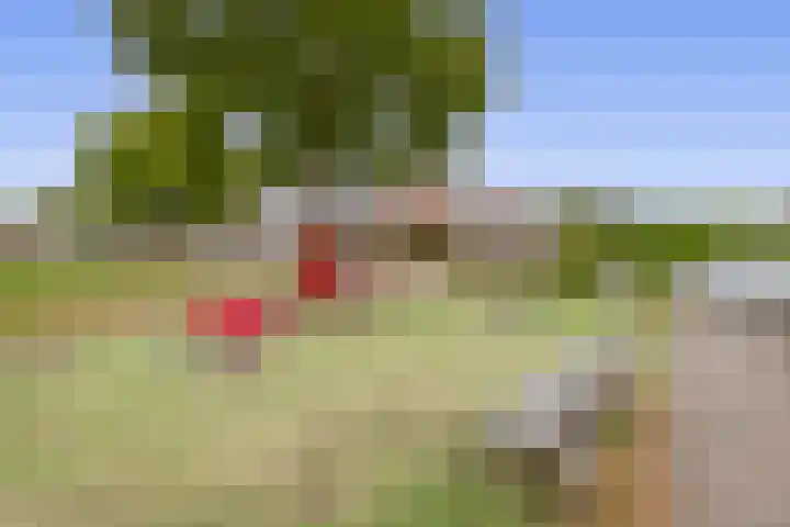 Boomstraat 24 Schijndel thumbnail 45