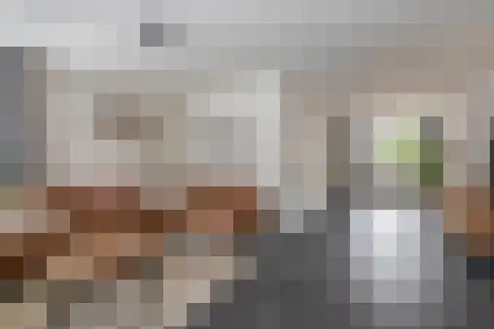 Boomstraat 24 Schijndel thumbnail 7