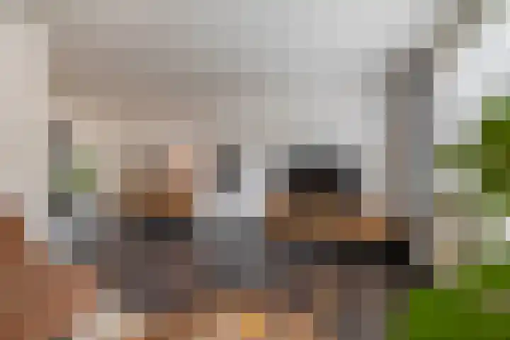 Boomstraat 24 Schijndel thumbnail 8