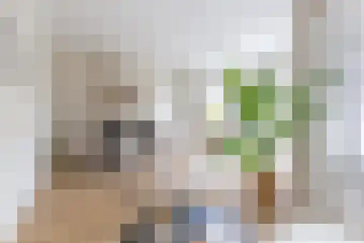 Boomstraat 25 BS Utrecht thumbnail 16