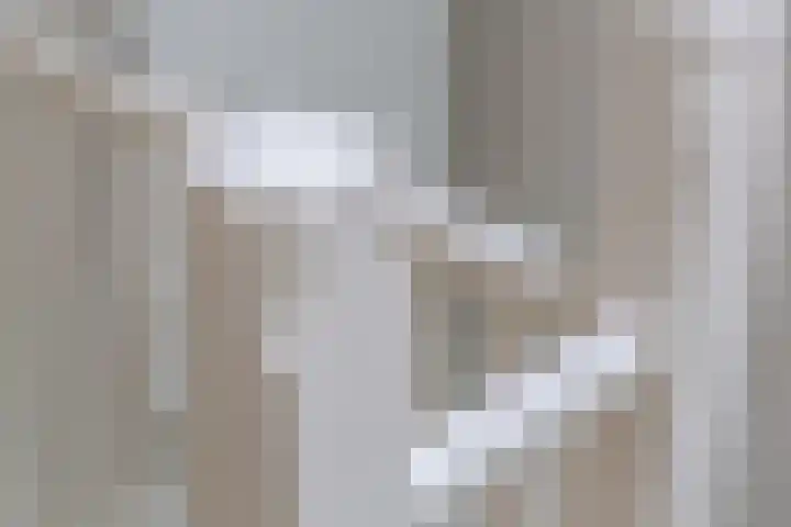 Boomstraat 25 BS Utrecht thumbnail 9