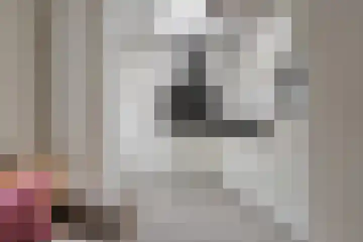 Boomstraat 34 Tilburg thumbnail 16