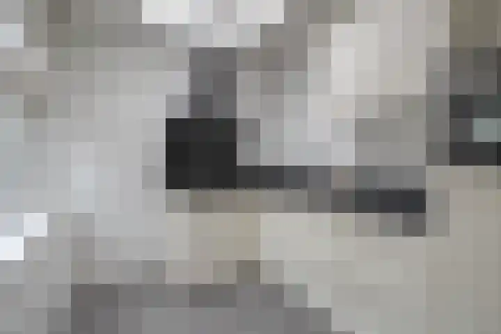 Boomstraat 34 Tilburg thumbnail 17