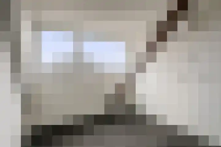 Boomstraat 34 Tilburg thumbnail 34