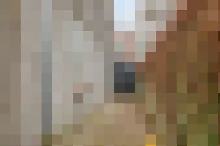 Boomstraat 34 Tilburg thumbnail 37