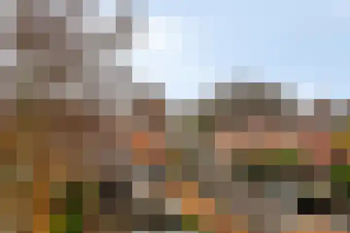 Boomstraat 34 Tilburg thumbnail 44