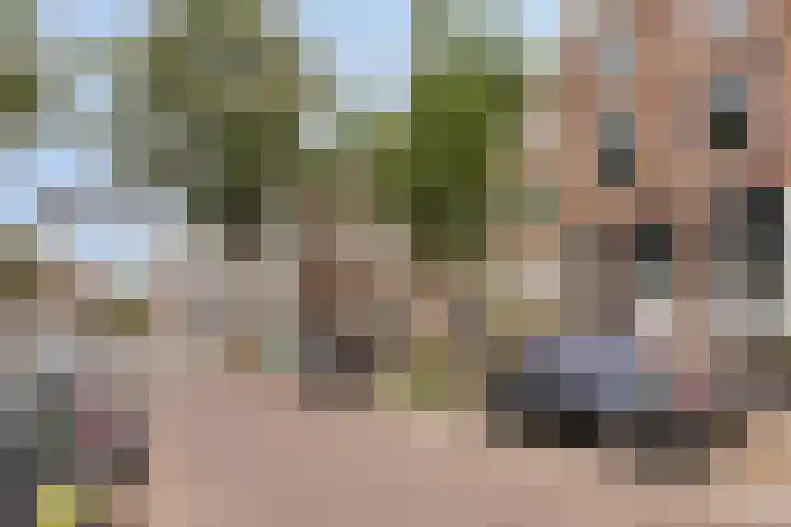 Boomstraat 35 B Dordrecht thumbnail 24