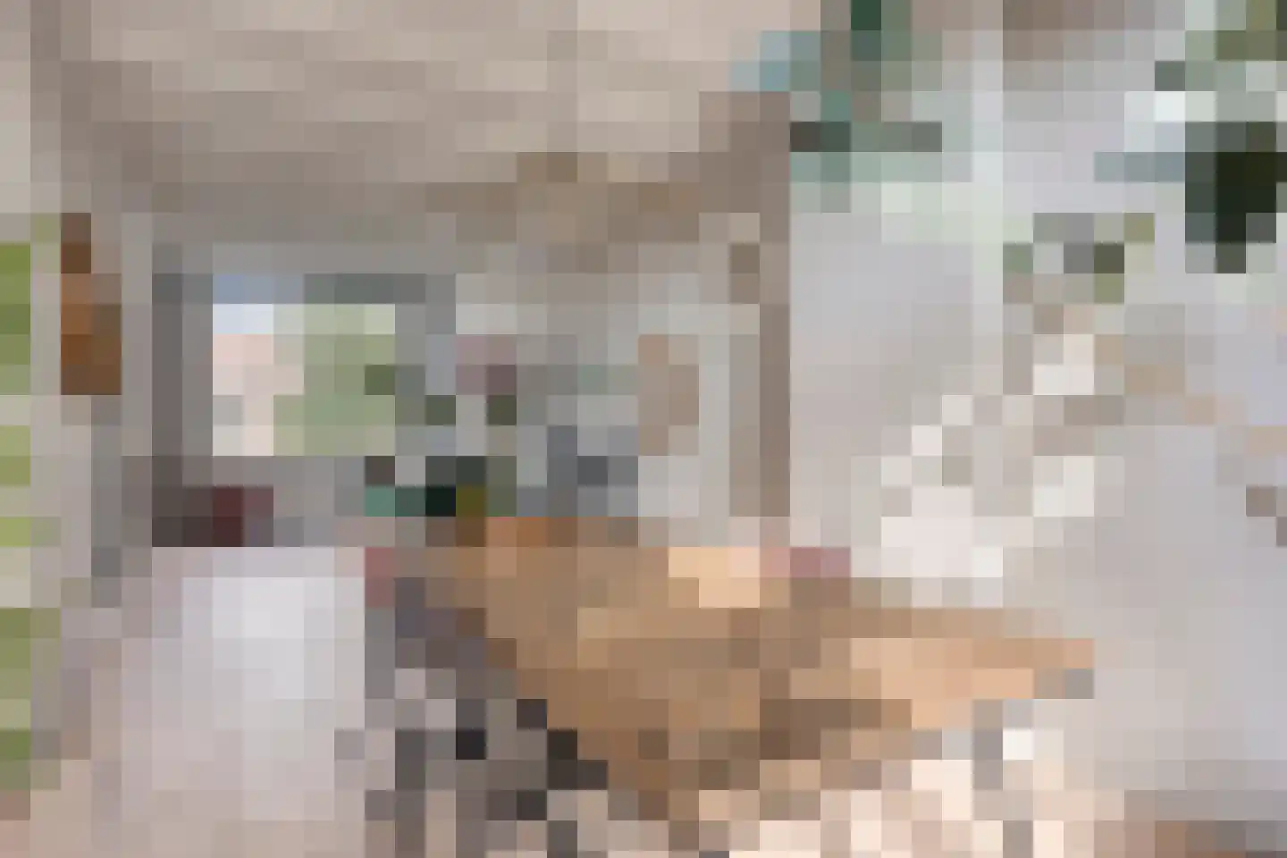 Boomstraat 36 BS Utrecht thumbnail 14