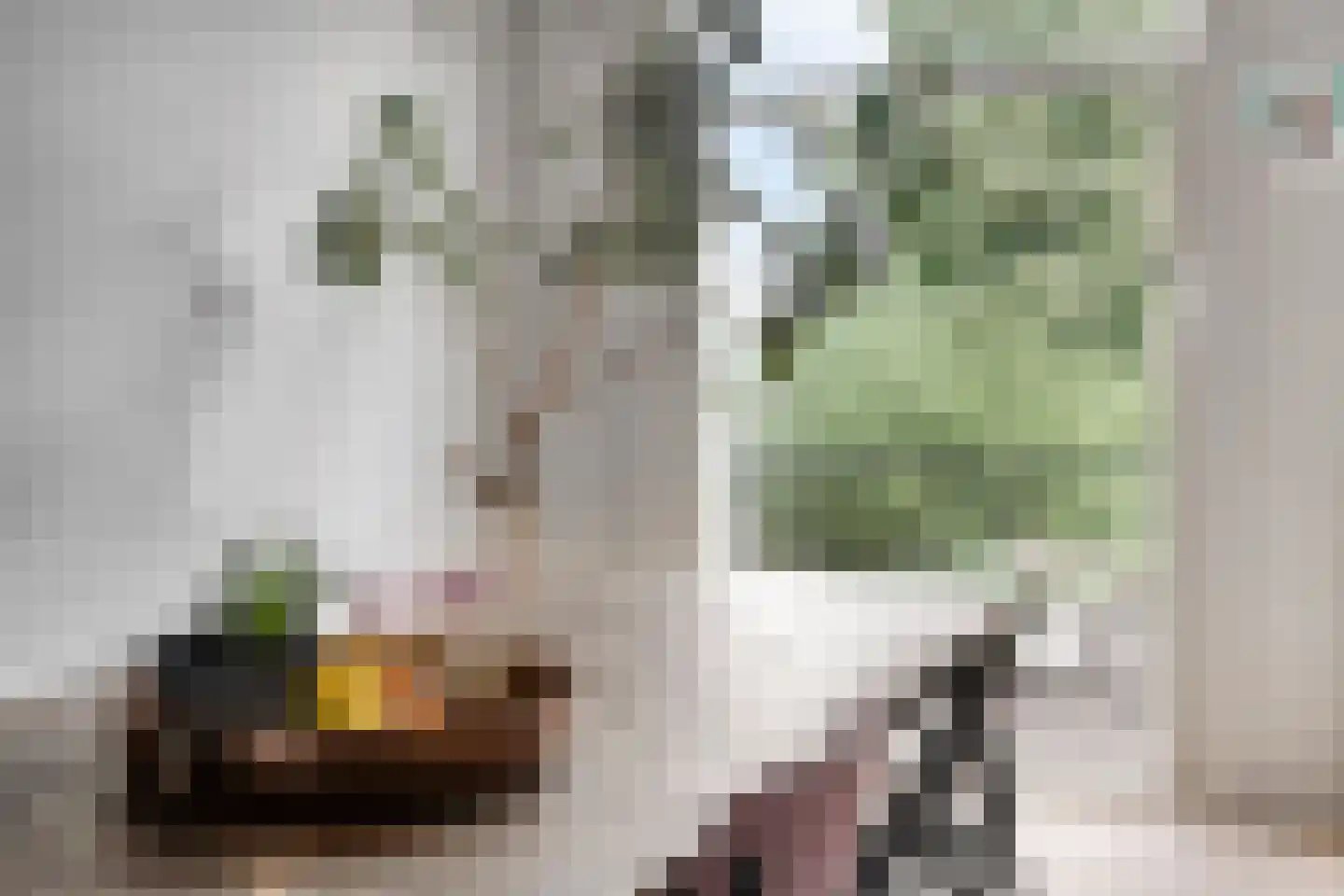 Boomstraat 36 BS Utrecht thumbnail 15