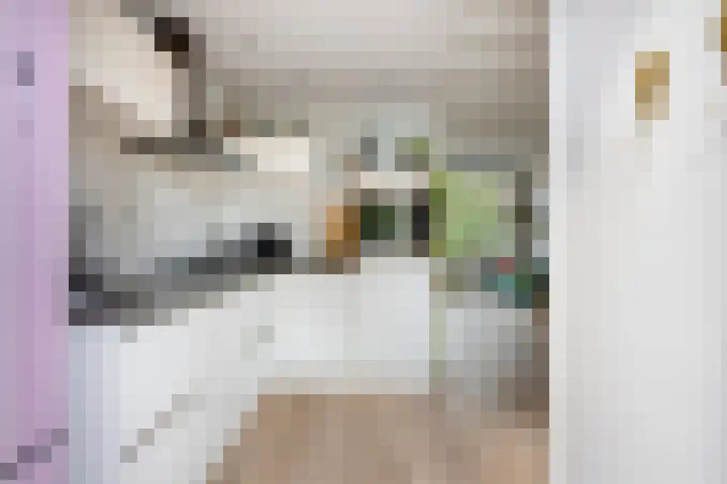 Boomstraat 36 BS Utrecht thumbnail 19