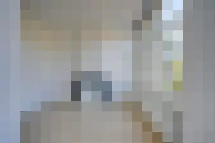 Boomstraat 40 BS Utrecht thumbnail 20