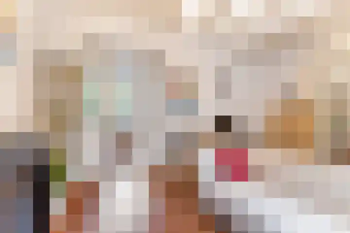 Boomstraat 40 Utrecht thumbnail 13