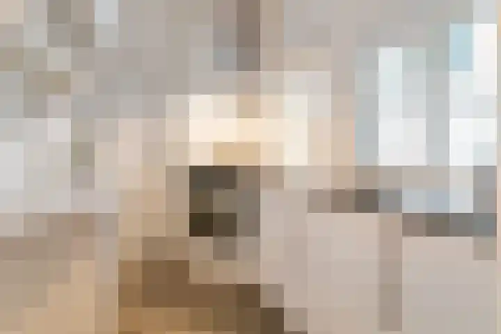 Boomstraat 40 Utrecht thumbnail 18