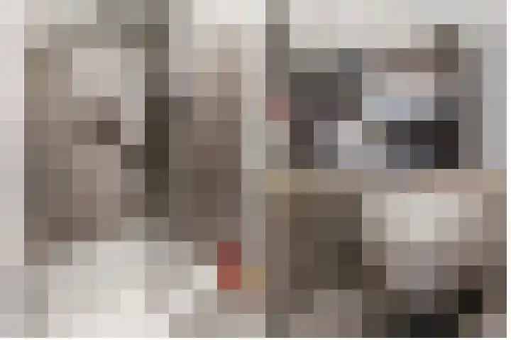Boomstraat 40 Utrecht thumbnail 22