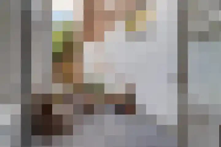 Boomstraat 40 Utrecht thumbnail 24