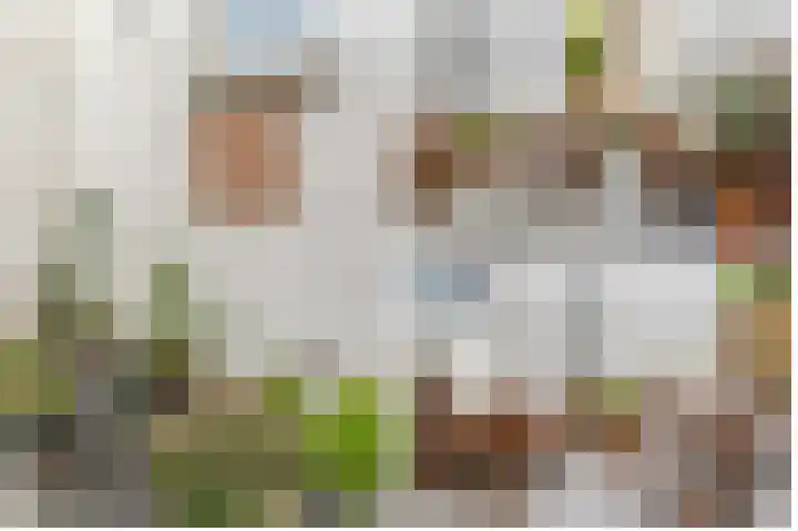 Boomstraat 40 Utrecht thumbnail 4