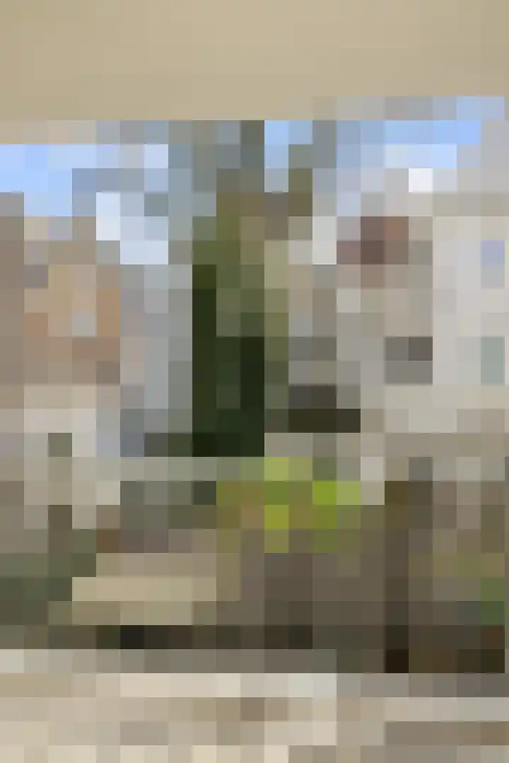 Boomstraat 53 B Amsterdam thumbnail 26