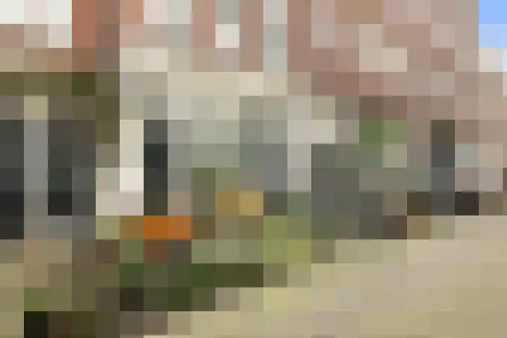 Boomstraat 53 B Amsterdam thumbnail 38