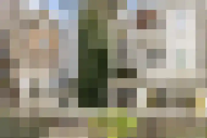Boomstraat 53 B Amsterdam thumbnail 4