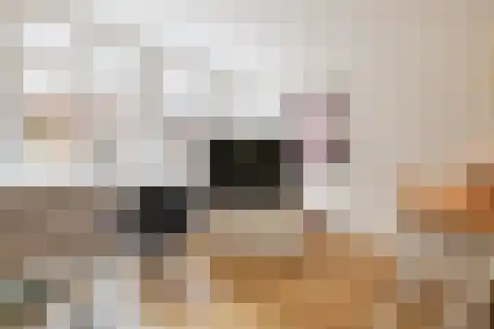 Boomstraat 53 B Amsterdam thumbnail 7