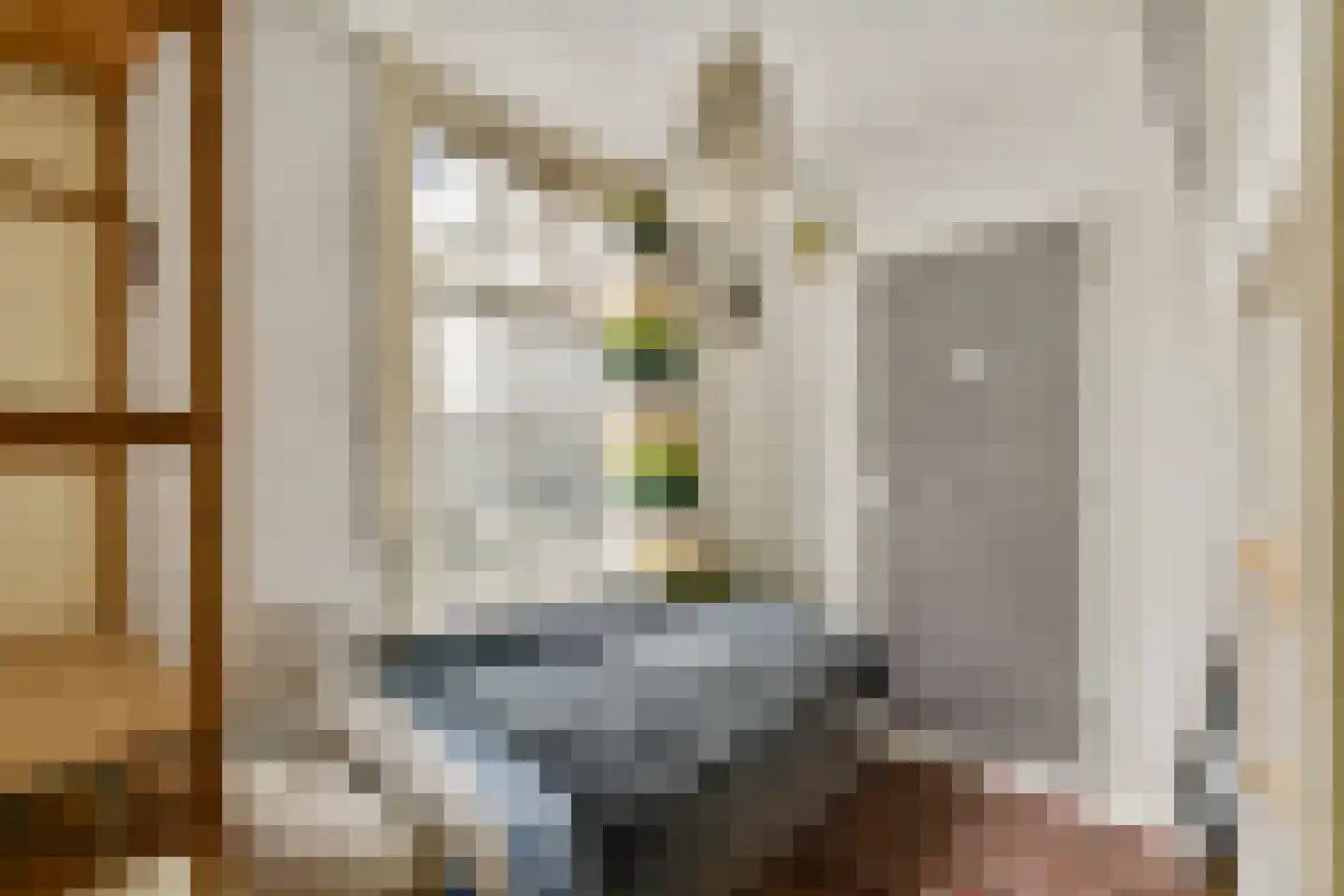 Boomstraat 54 Amsterdam thumbnail 19