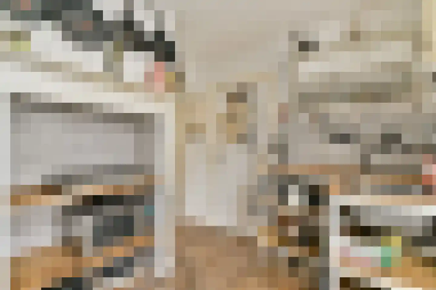 Boomstraat 54 Amsterdam thumbnail 24