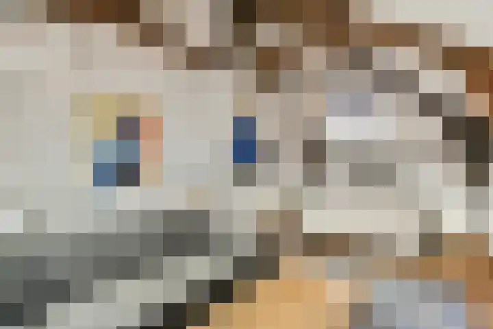 Boomstraat 54 Amsterdam thumbnail 4